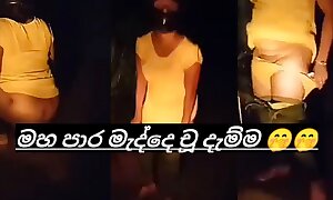 Sri lankan aunty outdoor pissing movie